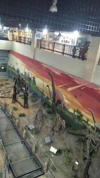 河北地质大学地球科学博物馆