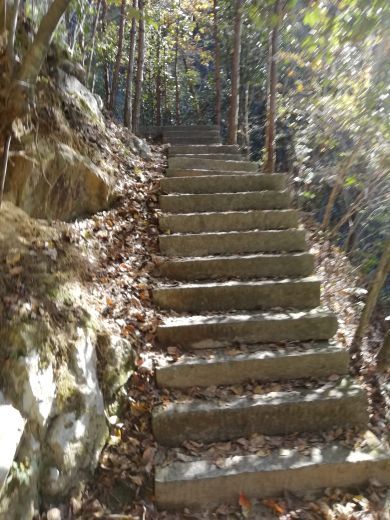 桃花冲森林公园