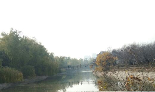 禹州森林植物园