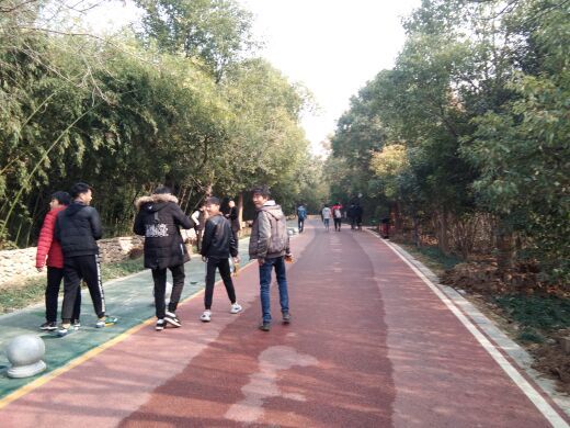 禹州森林植物园