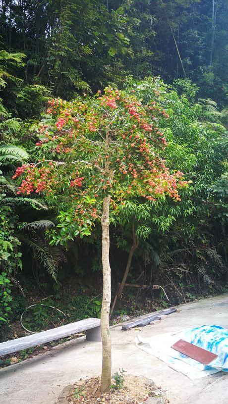 亚婆田白水寨自然生态旅游度假区