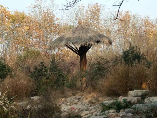 禹州森林植物园