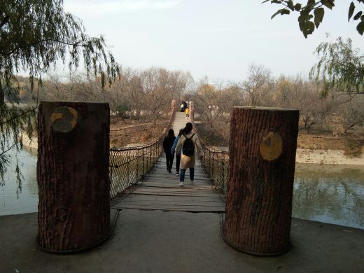 禹州森林植物园