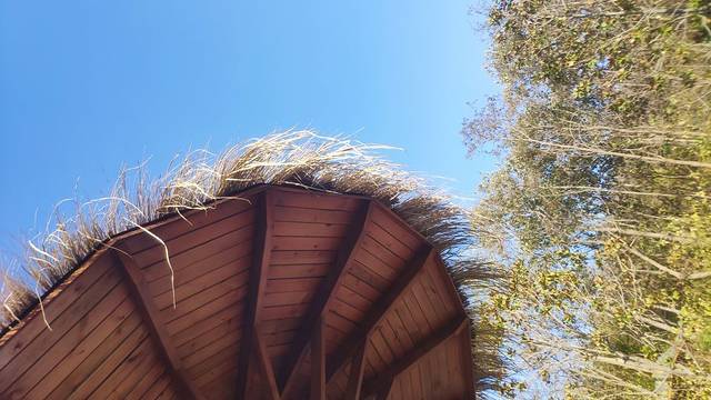 三山森林溪谷温泉