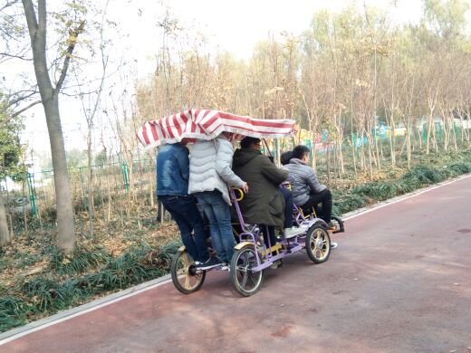 禹州森林植物园