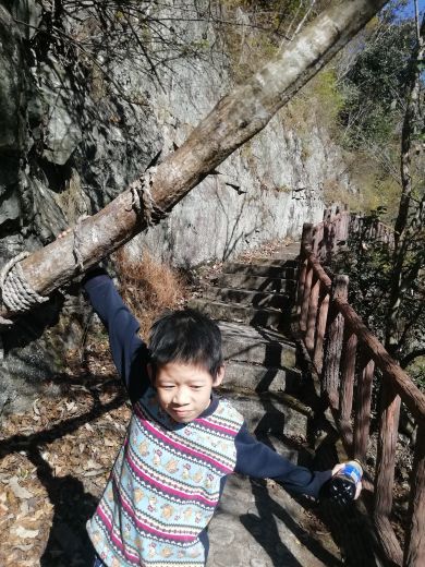 桃花冲森林公园