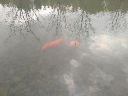 浙江兰湖旅游度假区
