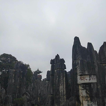 小石林景区-阿诗玛旅游景点攻略图