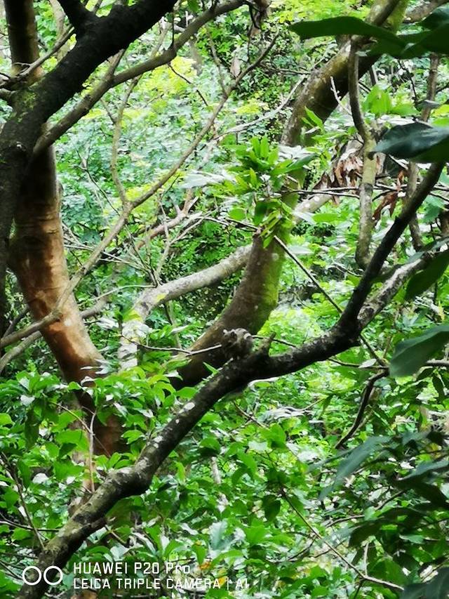 惠州罗浮山嘉宝田218线森林温泉谷