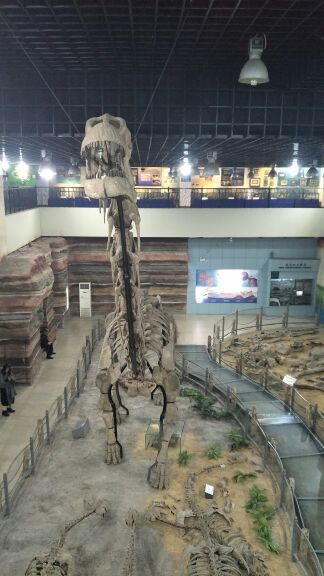 河北地质大学地球科学博物馆