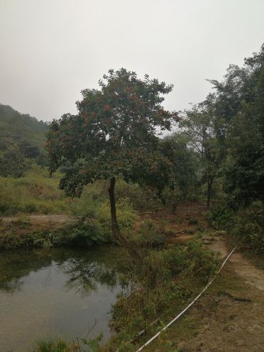 亚婆田白水寨自然生态旅游度假区