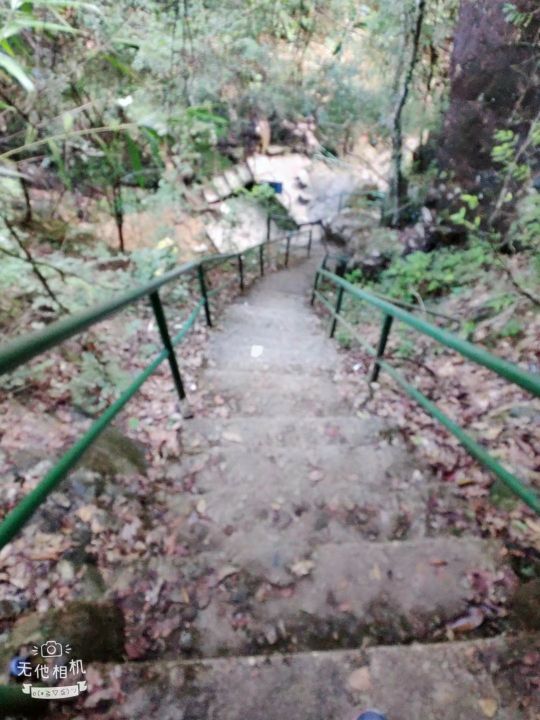 幽峪逸林旅游区