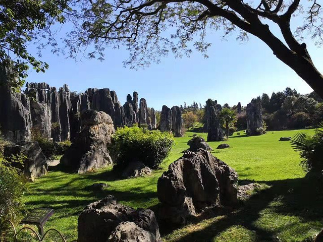 一切都是自愿,自由活动时间很多,不愧是金刚专线_石林风景区"的