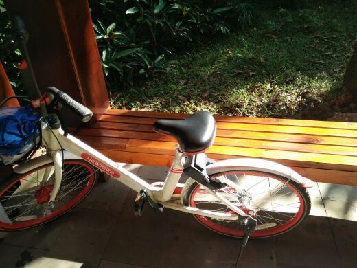 海南热带植物园