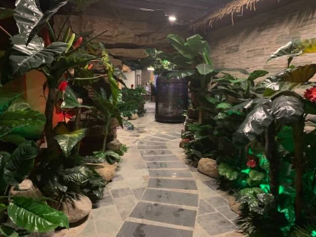 泉城欧乐堡戏水湾艺术养生温泉