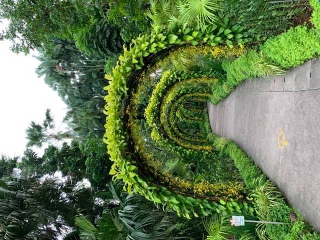 新加坡国家胡姬园