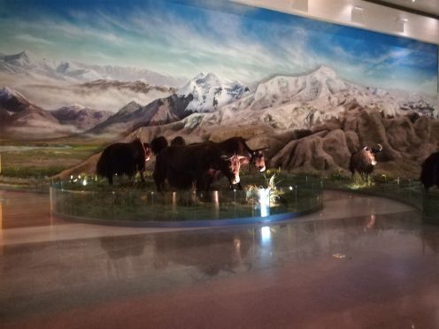 青藏高原自然博物馆