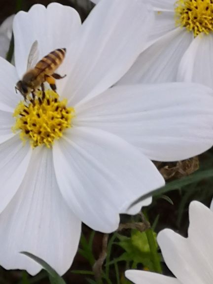尚天然温泉旅游度假区