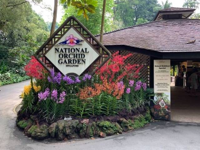 新加坡国家胡姬园