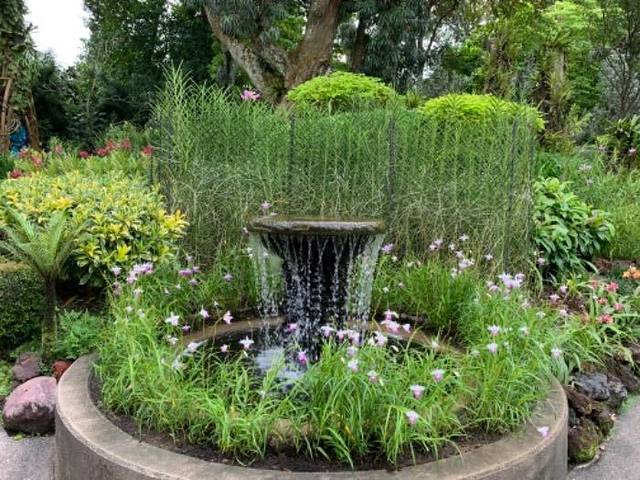 新加坡国家胡姬园