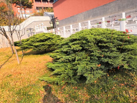 珠山国家森林公园