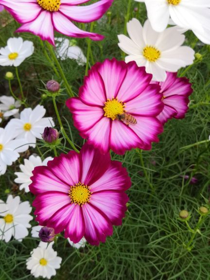 尚天然温泉旅游度假区