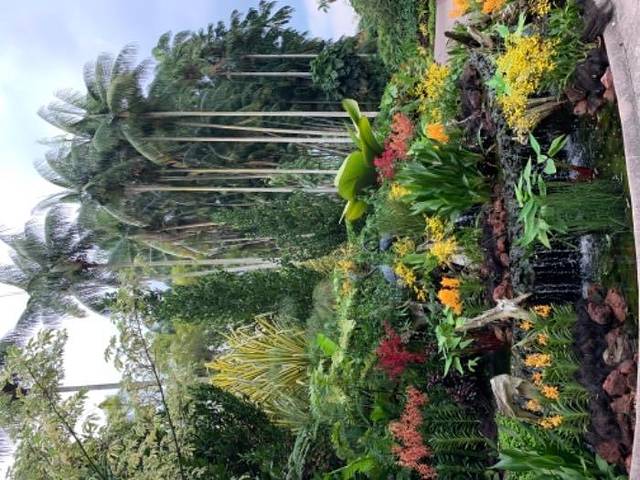 新加坡国家胡姬园