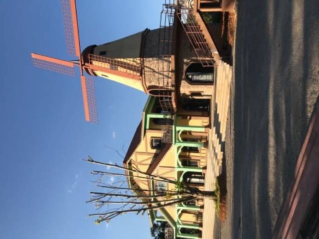 凤龙湾薰衣草庄园