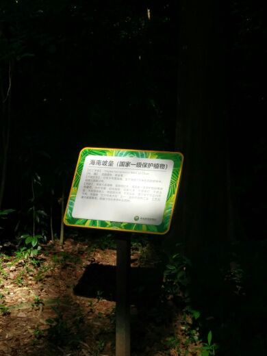 海南热带植物园