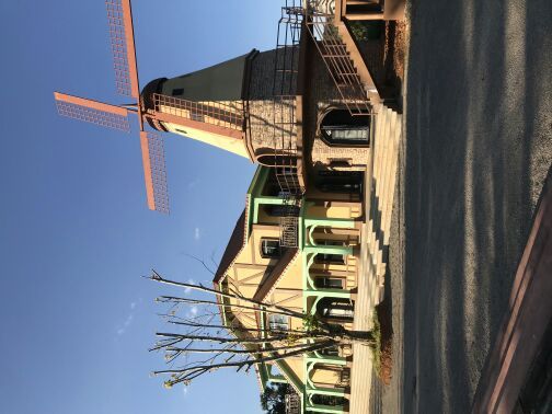 凤龙湾薰衣草庄园