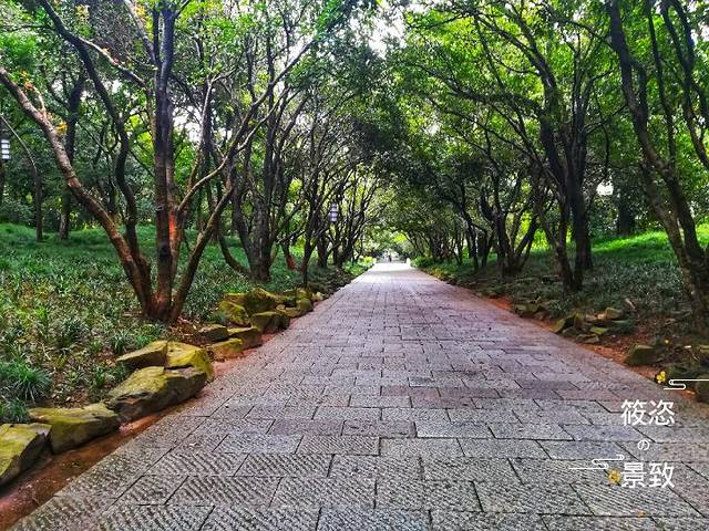 杭州西湖风景名胜区杭州花圃