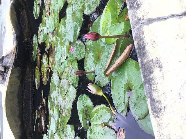 金龟泉生态度假村