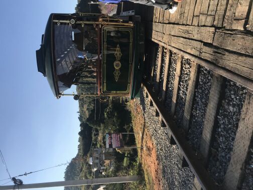 凤龙湾薰衣草庄园