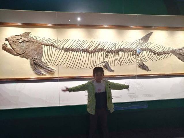 正佳自然科学博物馆