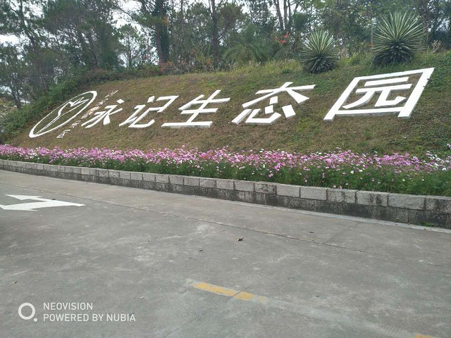 永记生态园动物园这个地方挺好的取票方便服务态度又好里面风景好动物