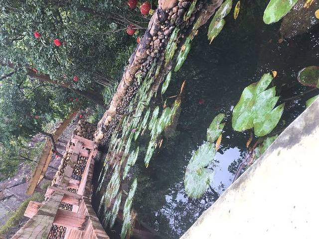 金龟泉生态度假村