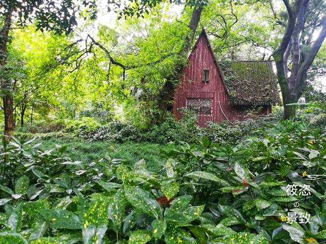 杭州西湖风景名胜区杭州花圃