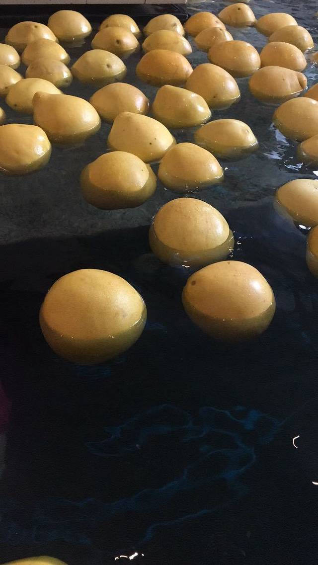 陆地游轮西山温泉