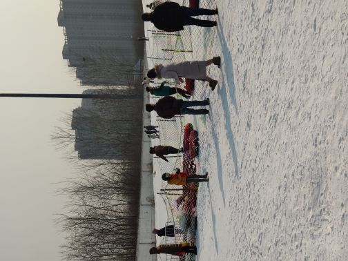 保定植物园滑雪场