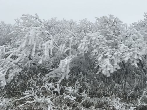 金佛山天星国际温泉城