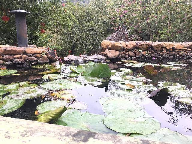 金龟泉生态度假村