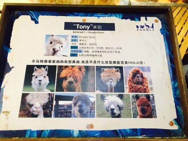 天津zoonly动物主题公园