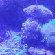 徐州海底世界