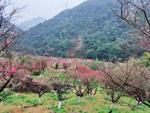 九峰山网岙景区