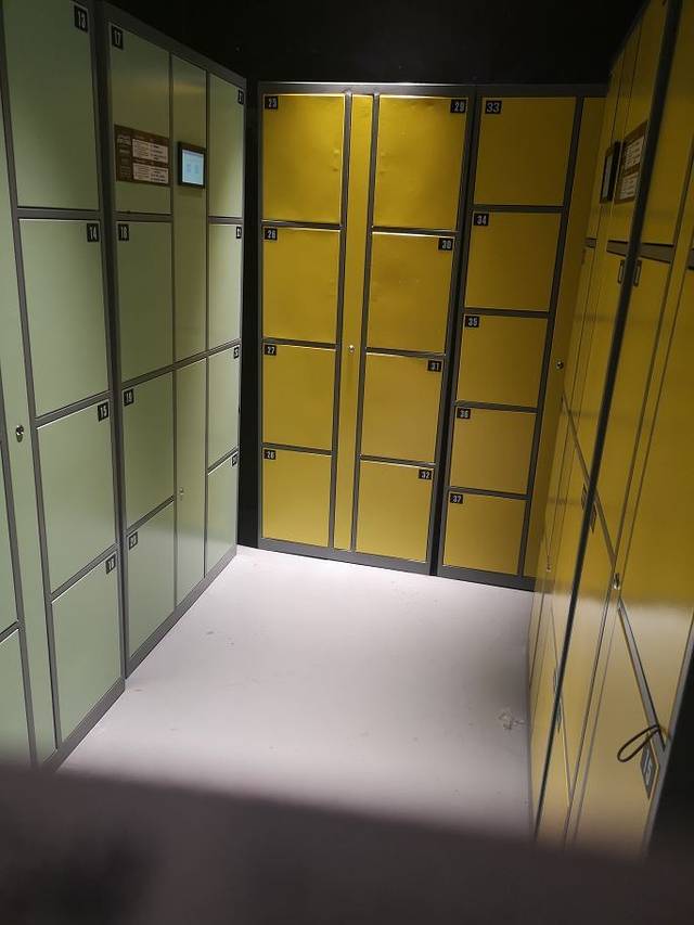 国家地理亲子主题乐园(K11艺术中心店)