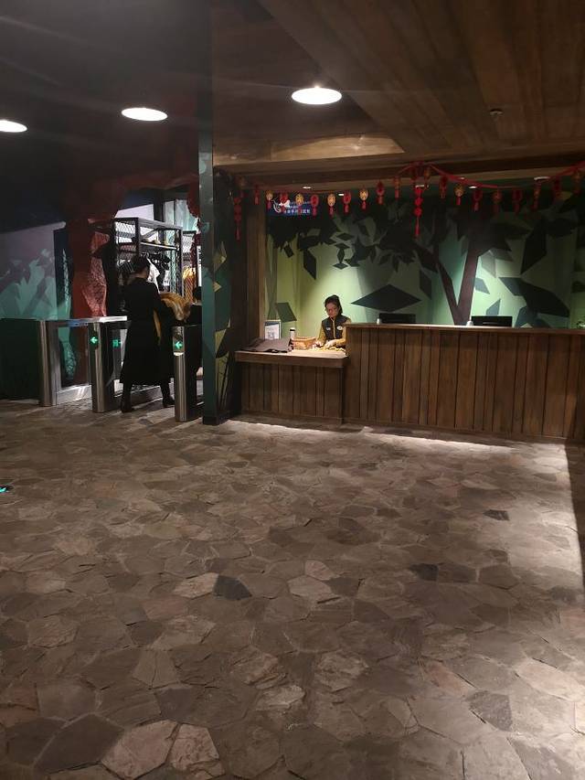 国家地理亲子主题乐园(K11艺术中心店)