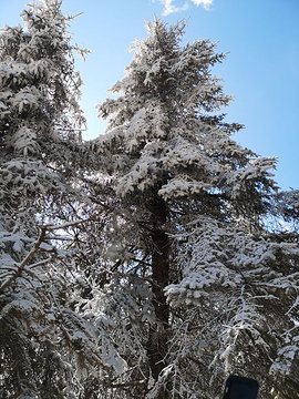 毕棚沟滑雪场旅游景点攻略图