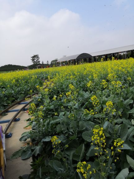 迪茵湖田家舍生态农场