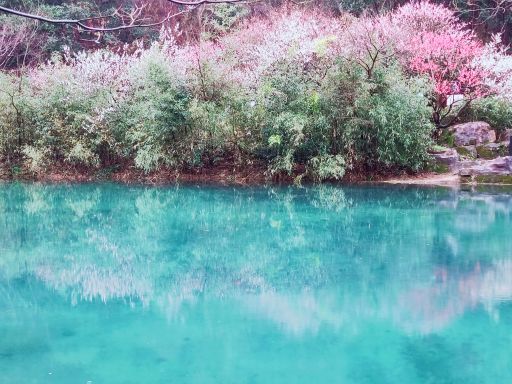 九峰山网岙景区