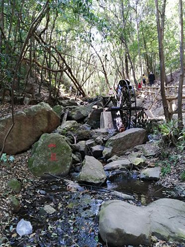 金沙桂花温泉旅游景点攻略图